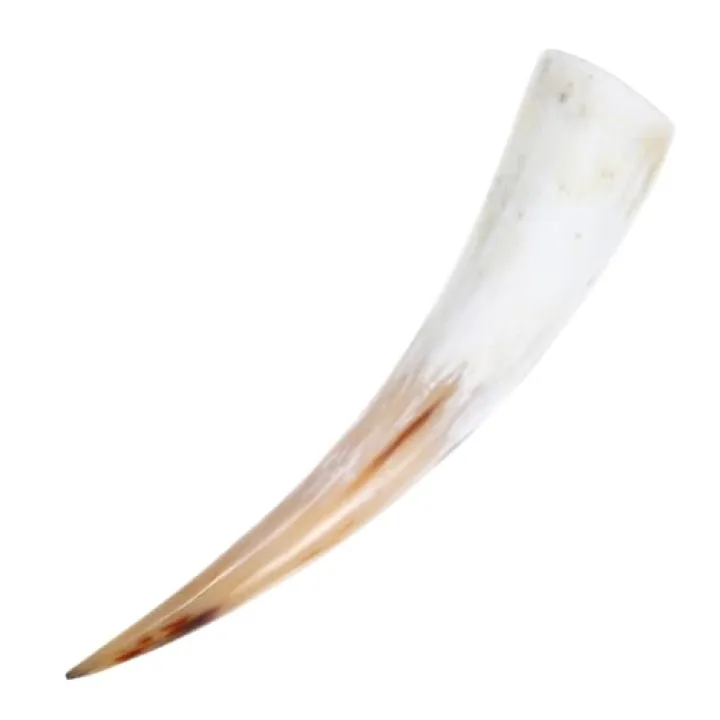 ABOOFAN Horn Decoration Cow Horn Vase Wall Vase Animal Wall Decor Headband Scull Hanging Decoration Farmhouse Decor Coaster Animals Cow Planters Vintage Horns