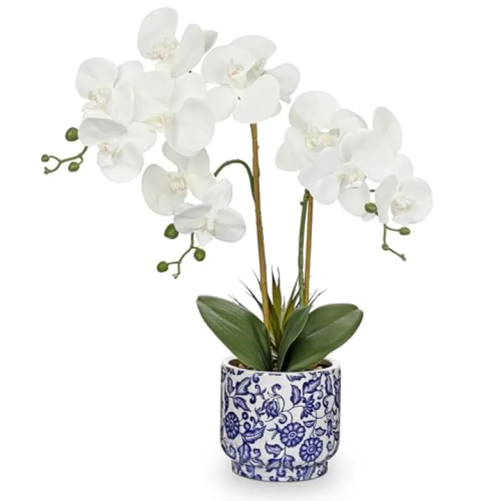 Briful Orchid Artificial Flowers 19.6in White Orchid Silk Floral Arrangement with Blue and White Ceramic Pot Fake Orchid Plant for Home Office Dining Room Table Centerpiece Decor