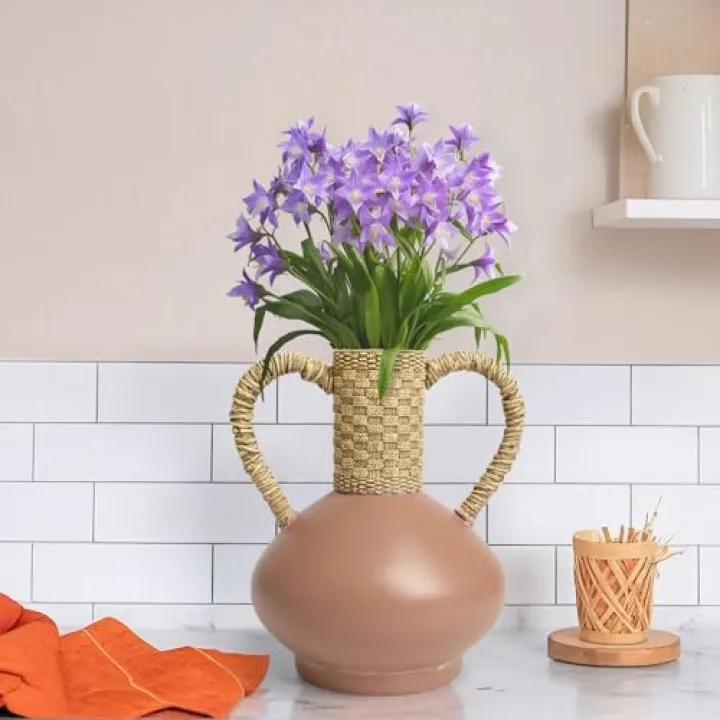 Bechivie Terracotta Vase Decor with 2 Handles, Rustic Farmhouse Ceramic Flower Vase, Vintage Decorative Pottery Home Dining Table, Living Room, Shelf,Mantel, Kitchen,Office