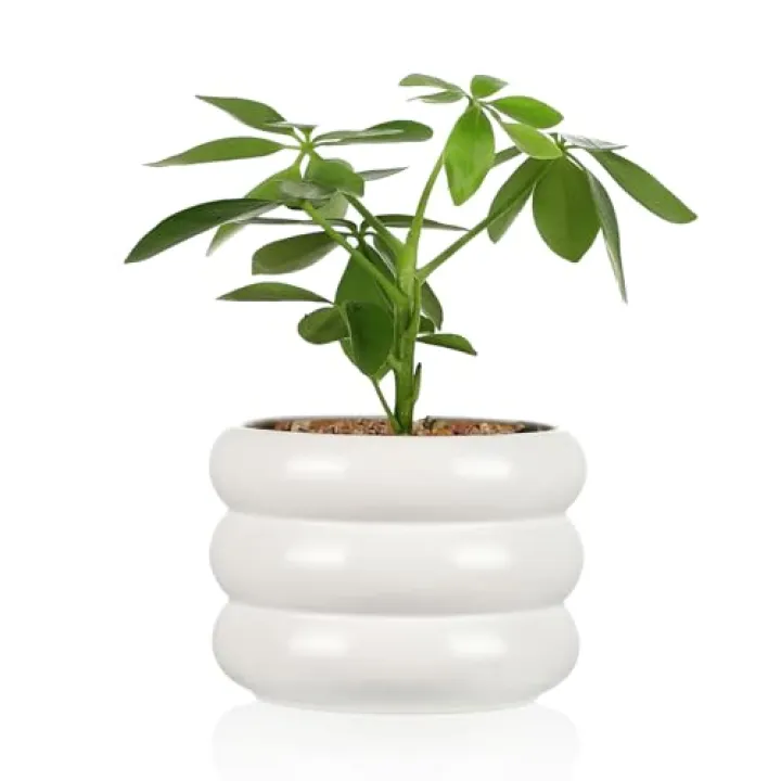 VanEnjoy Small Plant Pots for Indoor Plants and Succulent Ceramic Planter with Drainage Hole White Unique Pots for Plants Cute and Modern Planter for Home Decoration
