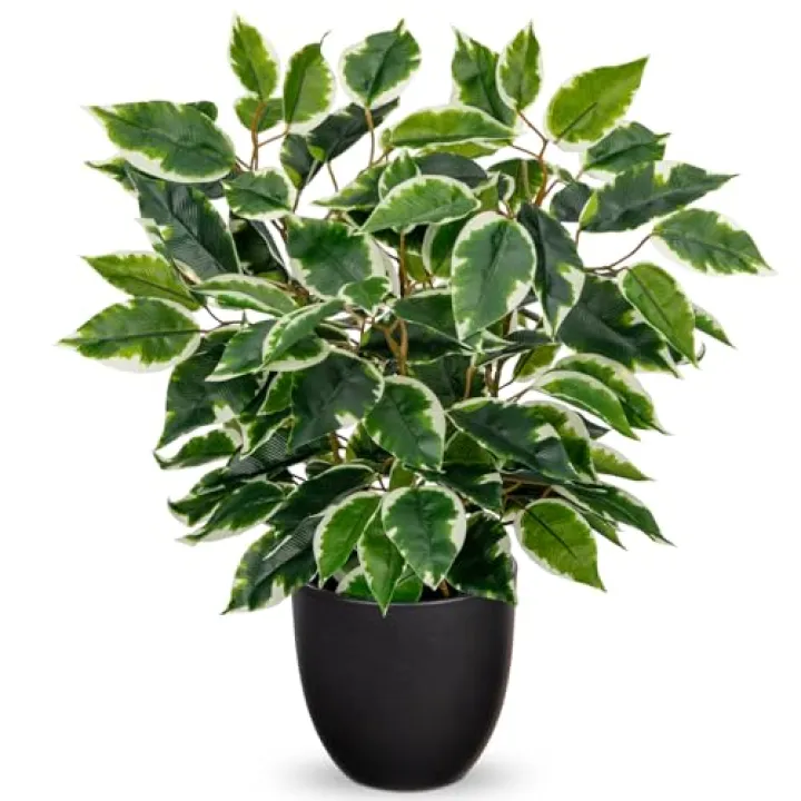 GnFlus Fake Plant 15.7” Artificial Plants Indoor Small Ficus Potted Plants Silk Plants Faux Topiary Plant for Home Bathroom Bedroom Dining Room Kitchen Window Shelf Desk Centerpieces Tabletop Decor