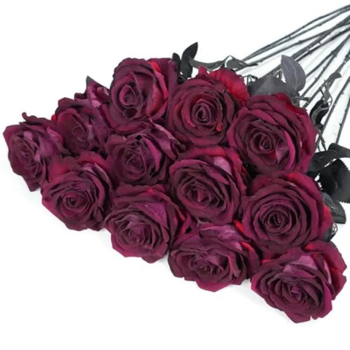 Tregefly 12 Pcs Fake Burgundy Roses Artificial Flowers with Long Stem, Goth Birthday Decorations, Gothic Wedding Decor, Halloween Dark Flower Arrangement,Faux Silk Rose Bouquet Realistic, Large