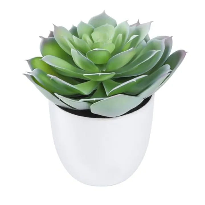 Meinature Lifelike Artificial Succulent Plants in White Large Basin - 5.5 Inch Diameter Large Flowers, Green & White, Ideal for Home and Office Table Decoration
