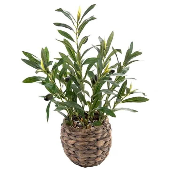 Ainuowei Indoor Fake Olive Plants 17.7 inches Tall Lifelike Artificial Olive Plants with Cyan Fruits in Brown Rattan Planter for Shelf Office Desk Kitchen Counter Small Space Artificial Plant Decor