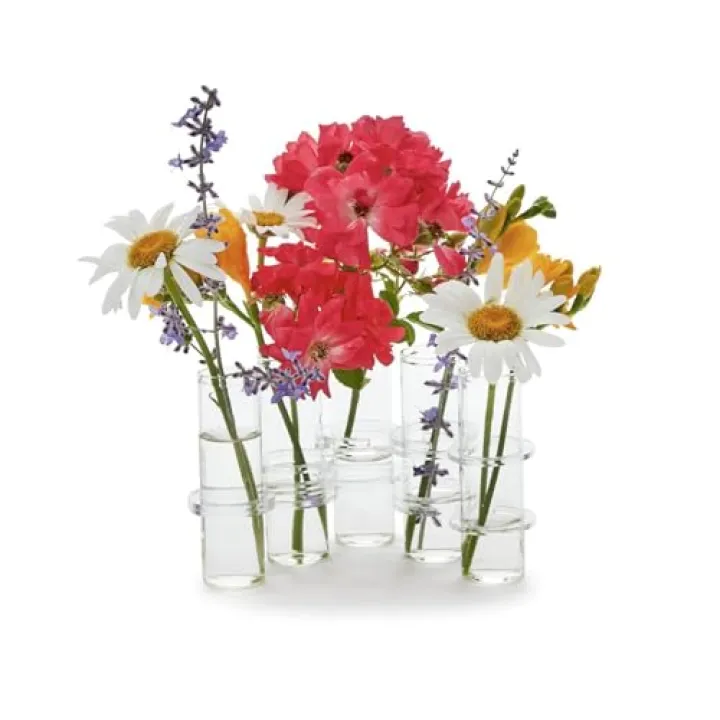 Two's Company Hinged Tube Flower Vase, 8-Inch, Glass, Clear, Set of 5