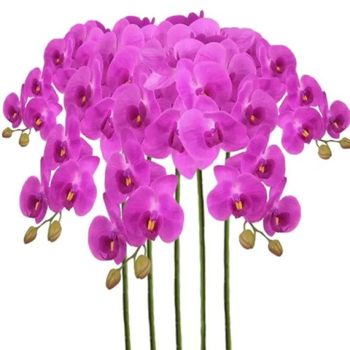 Sumupa Artificial Phalaenopsis 5 Pcs Artificial Flowers Artificial Orchid Flowers Stem Fake Plants for Décor (Purple)