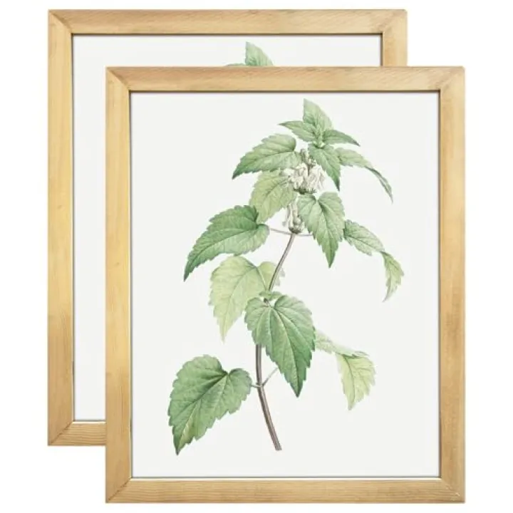 NWDCLF Rustic 8x10 Picture Frame Set of 2, Reclaimed Barnwood, Real Glass, Distressed Wooeden Photo Frames for Wall Mount, Farmhouse & Country Home Décor