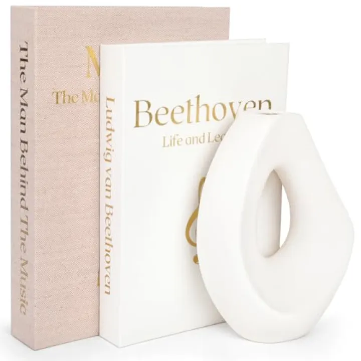 HEYBAILS Antique Decorative Linen Books: Fake/Faux Books for Home Decor, Coffee Table & Bookshelf - Elegent & Modern Aesthetic Storage Boxes - Set of 2