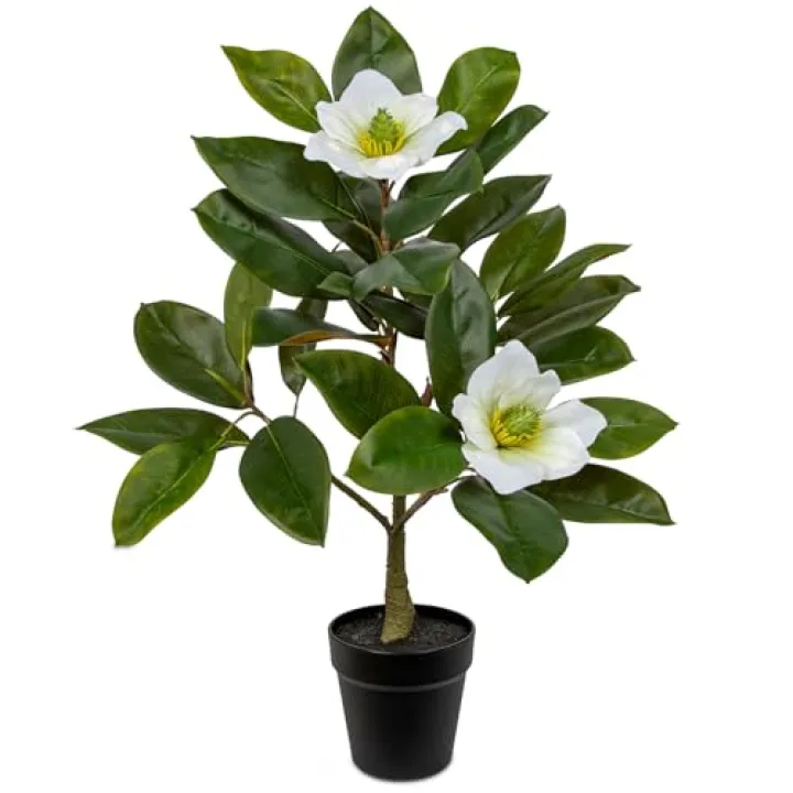 Briful Artificial Magnolia Flower Tree in Black Pot – 26.3in Tall Faux Magnolia Plant with Realistic White Blooms Fake Potted Silk Floral Tree for Home Office Room Kitchen Outdoor Porch Décor