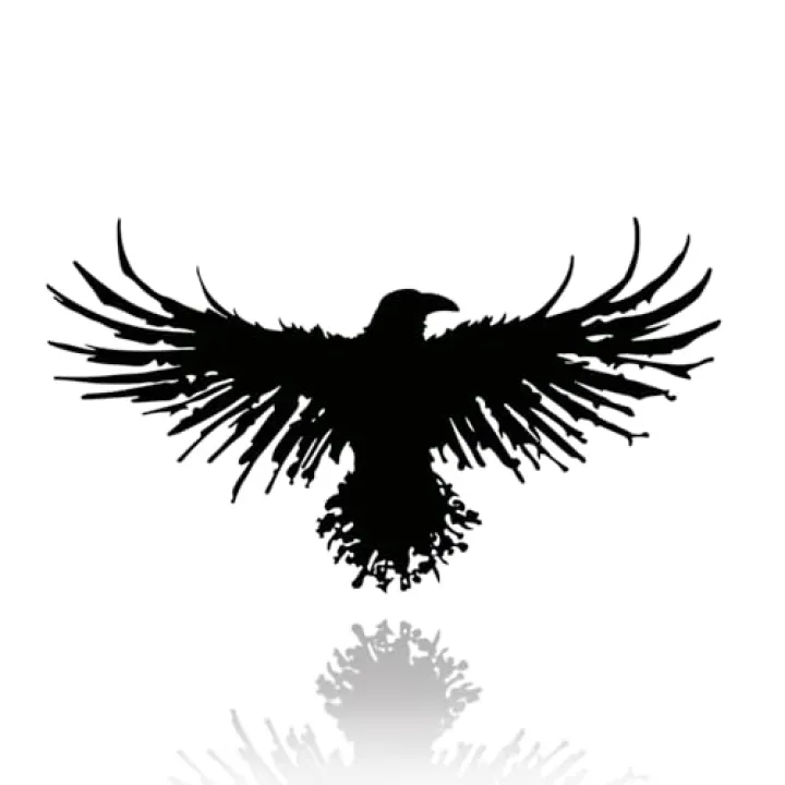 Yuzhuo Metal Viking Raven Wall Art Norse Mythology Crow Wall Decor with Gothic Metal Wall Sculpture Suitable for Living Room Bedroom Indoor Outdoor Garden Home