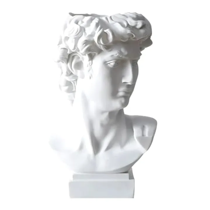 David Head Plant Pot Flower Vase Roman Style Face Planter for Garden Home Office Decorative Bust Statue Planter Modern Decor (Large)