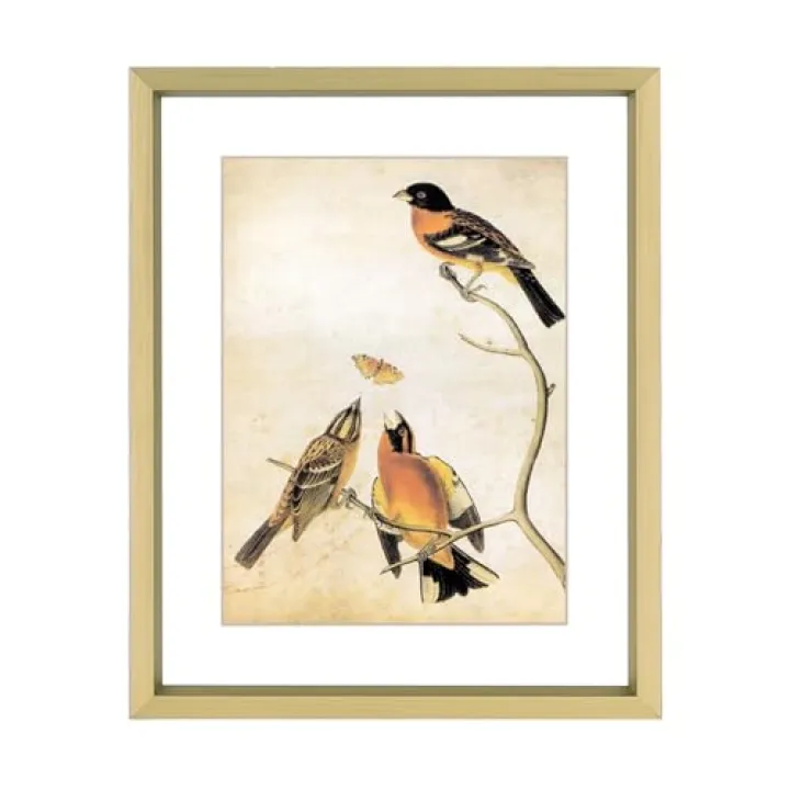 4x5 Picture Frame, Brass Aluminum Metal Photo Frames with HD Glass, Fits 3x4 with Mat or 4 x 5 without Mat, Display for Wall and Table