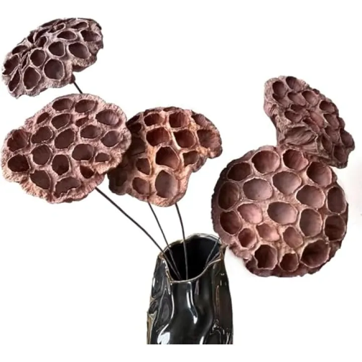 Natural Dried Lotus Pods with Stems 20'' Artificial Long Stems Artificial Dried Lotus Pods with Stems for Home Decor Wedding (5pcs Large)