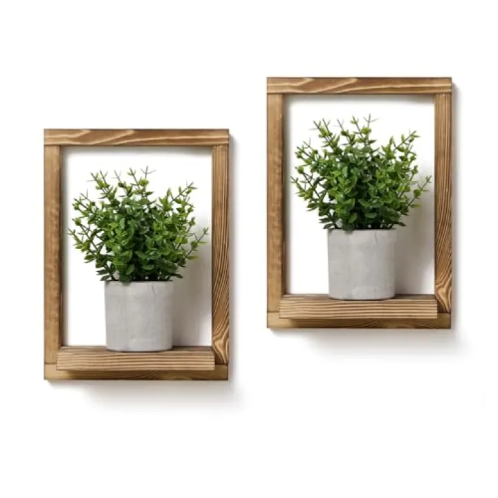 SOONOW 2 Pack Wooden Framed Shelves with Fake Plants for Home Wall Decor, Modern Farmhouse Wood Wall Art for Living Room, Bedroom, Bathroom