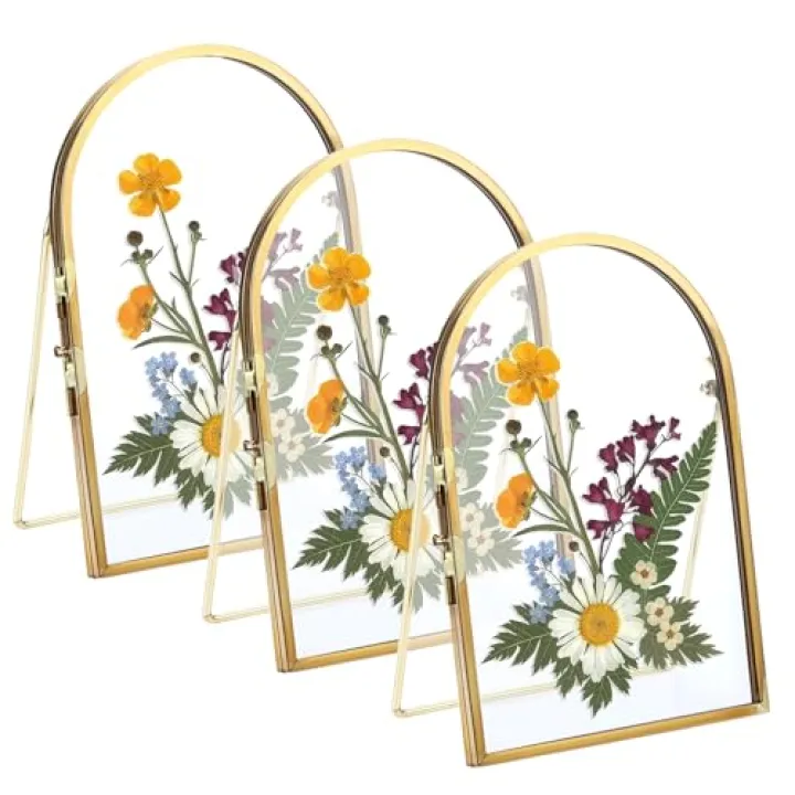 OGANAZI 3 PCS 4x6 Inch Double Glass Pressed Flower Frame - Golden Floating Frames for Dried Flowers, Art, Photos | Vintage Pressed Flower Frame Tabletop Display Holder for Home Plant Specimen (Half Circular)