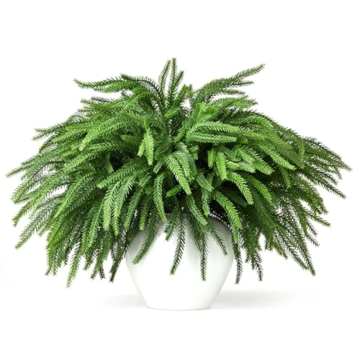 Malomke 16 Pcs Norfolk Pine Stems, 19" Long Artificial Norfolk Pine Branches, Real Touch Greenery Stems for Vases, DIY Garland, Indoor Home Decorations