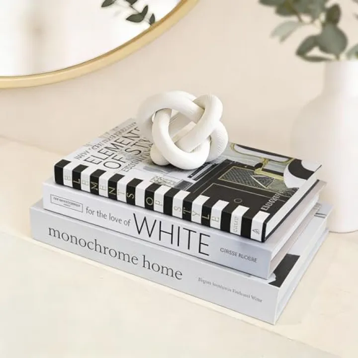 HMMSTR Set of 3 Decorative Books for Home Decor,Stylish Fake Books for Decoration, Aesthetic Decor Books Set for Coffee Table,Bookshelf,Mantel,Living Room,Hotel,Villa Decor,Storage Box for Photos