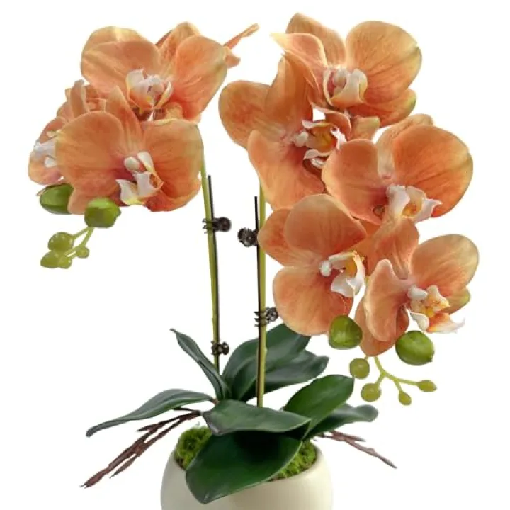 QenyiHPD Realistic Artificial Phalaenopsis Orchid, 2 Stems Orchid Flower Stems (17") + 2 Rooted Leaves (6.5"), Fake Flowers with No Maintenance Silk Flower for Home Office Decoration