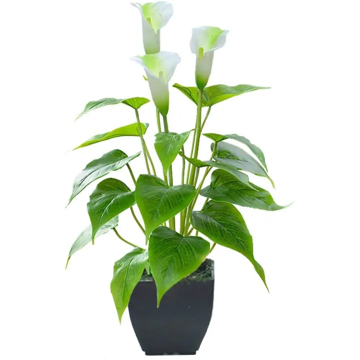 Artificial Flower Calla Lily Faux Small Potted Plant with Black Pot Fake Bonsai Flower for Home, Office, Indoor and Outdoor Occasions Decor (White Fake Flower)