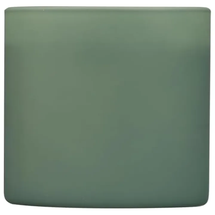 Calyan Wax Co. Green Evergreen Eucalyptus Glass Tumbler Candle, 5.3 Oz