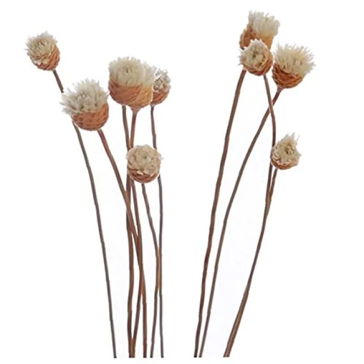 20 Pcs/Set Diffuser Sticks Rattan Flower Bud Rose Replacement Refill Rattan Sticks for Essential Oil Diffuser for Home Bedroom Bathroom