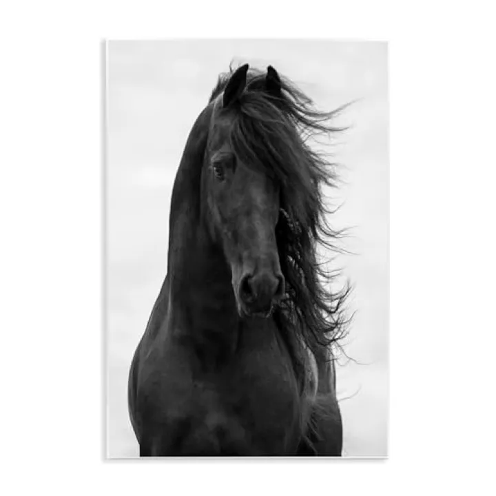 Stupell Industries Black Stallion Horse Portrait Soft Grey Sky Photography, Design by Carol Walker Wall Plaque, 13 x 19
