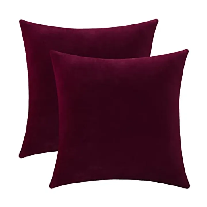 Jeneoo Set of 2 Comfy Soft Thick Velvet Throw Pillow Covers for Sofa Couch Decorative Solid Square Cushion Cases for Bedroom Car (18 x 18 Inches, Burgundy Red)