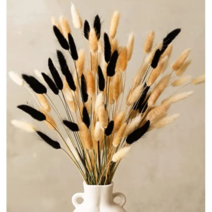 100 Stems Bunny Tails Pampas Grass Dried Flowers - 30pcs Black, 30pcs White, 40pcs Natural Brown, Boho Home & Kitchen Decor, Pampas Grass Decor