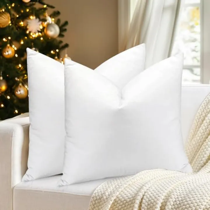 Bafode Pillow Inserts 20'' x 20'' Set of 2, Down Feather White Throw Pillows, Luxury Pillows for Sofa, Bed and Couch and Cushion