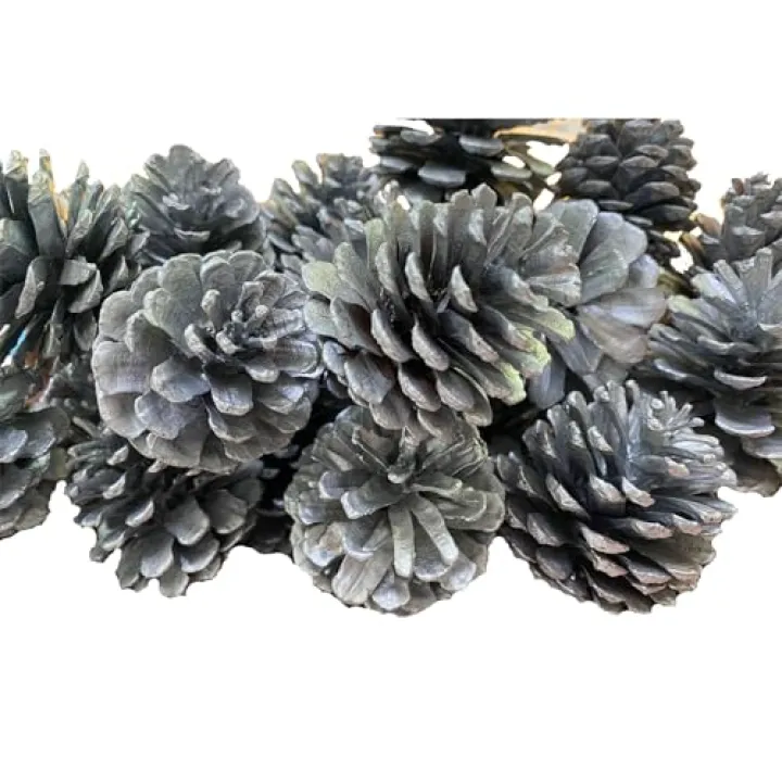 VERIMP CIUOSUN Pine Cones, Christmas Bulk Package of Natural Pinecones for Christmas Tree Party Decoration for Autumn and Winter Decor Christmas Decorations (1.57"-1.97"（20pcs）, Silvery)