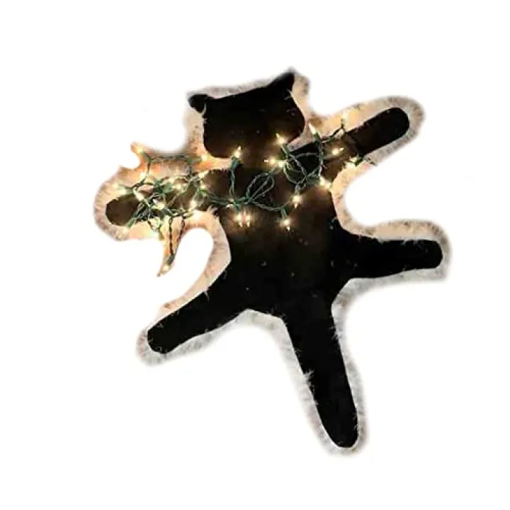 FQQWEE 23 Inch Cat Plush Carpet, Light up Fried Cat Rug Funny Christmas Lights Decoration, Furry Cat Blanket Area Rug, Plush Cat Rug Carpet for Home Bedroom Livingroom Xmas Decor(Warm Light)