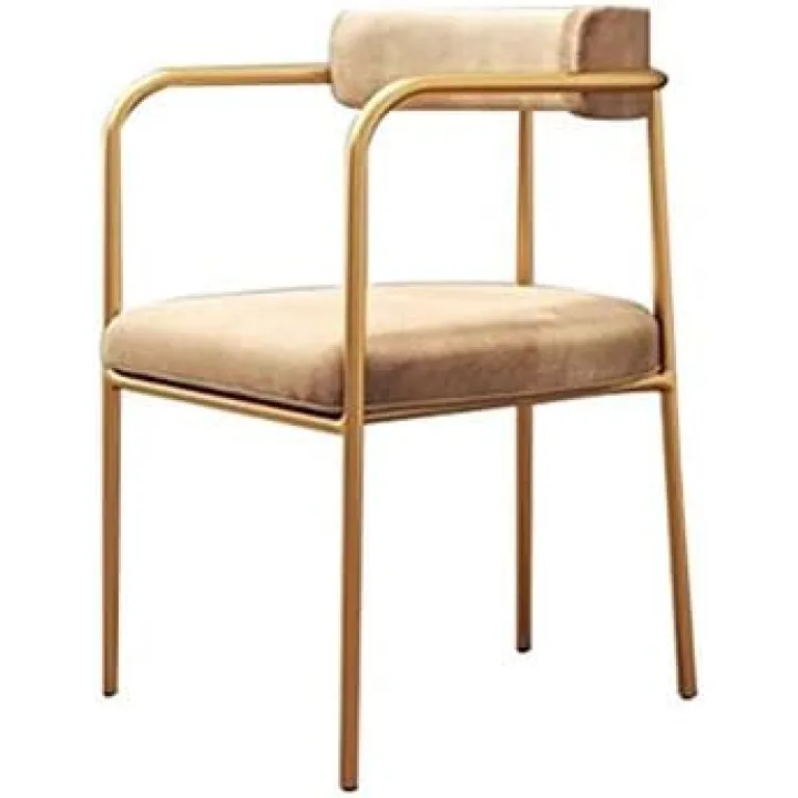 Metal Legs Living Room Chairs,Western Restaurant Tea Shop Hotel Bedroom Barbershop Studio Kitchen Dining Chair Chair (Color : Camel)