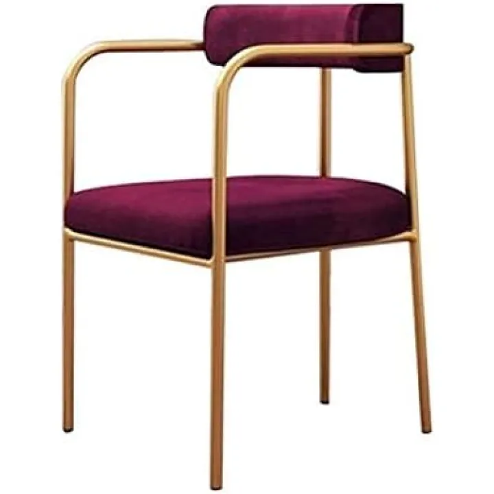 Soft Velvet Dining Chair,Make up Nail Art Marriage Room Balcony Banquet Hotel Negotiate Bedroom Armchair Chair (Color : Purple)