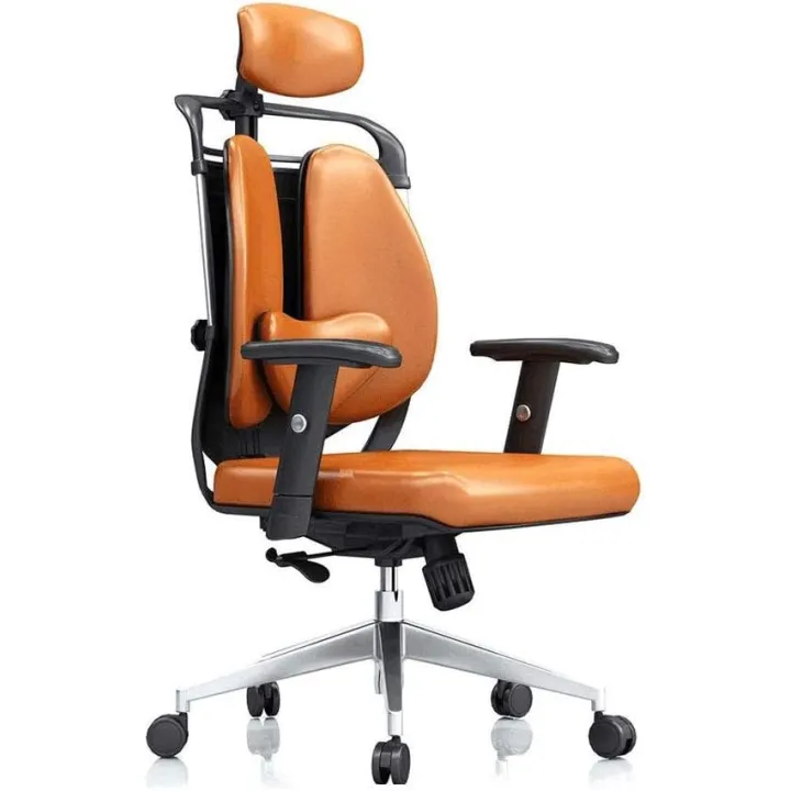 Office Chair Ergonomic, Healthy and Comfortable Boss Chair, Executive Chair, Office Chair, Personality Chair, Waist Back, 3 Colors Optional Office Chairs for Home Lofty Ambition (B