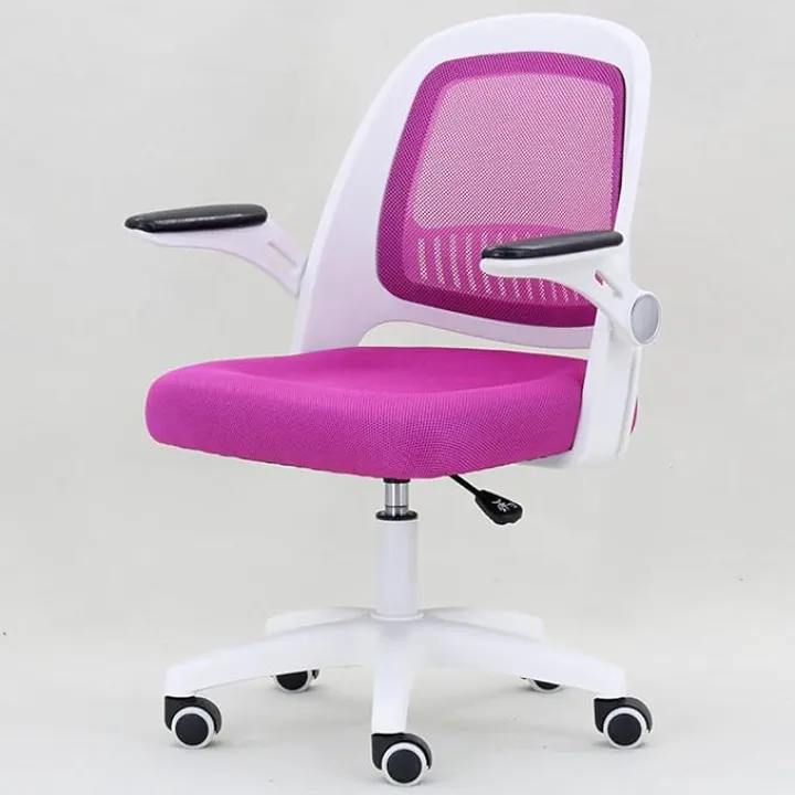 Office Chair, Office Chair Ergonomic Desk Chair with Lumbar Support, Swivel Task Computer Chair with Flip-Up Armrest, Breathable Mesh Chair for Home, Office Interesting Run Forward