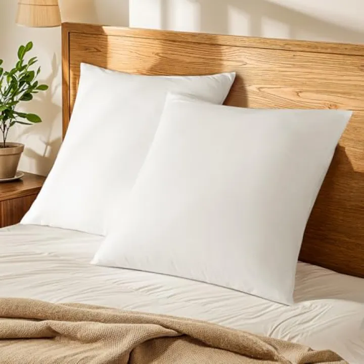 Shilucheng 100% French Linen Euro Shams 26"x26" Pack of 2, Soft Breathable Pillow Covers, Decorative Square Throw Pillow Covers for Bed Couch Sofa, Envelope Closure (White)