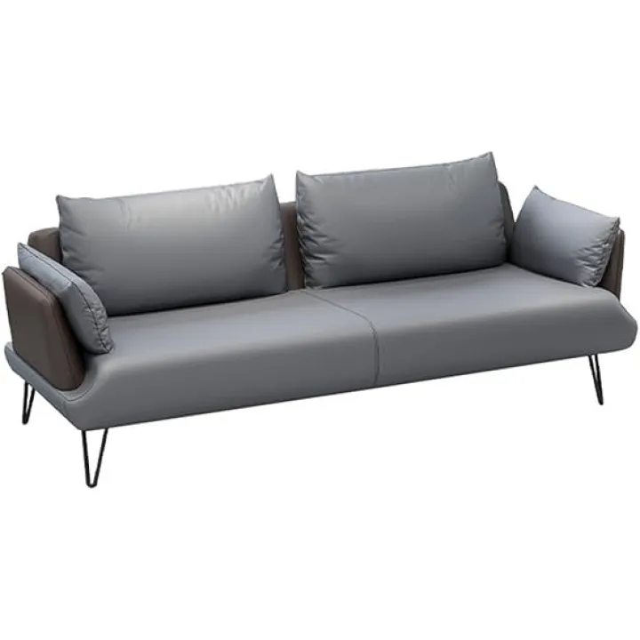 JINSHANLIANGSHKS Office, Home and Business, Multi-Seater, Leather Sofa in