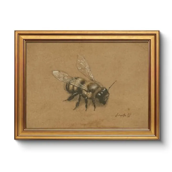 Vintage Bee Illustration Print Wall Art 12x16 Antique Gold Framed Canvas, Rustic Retro Botanical Insect Painting, Classic Entomology Bumblebee Drawing Farmhouse Study Entryway Decor