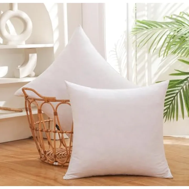 Set of 20x20 NCH Gold Goose Down and Feather Throw Pillow nserts - 2 Packs with White Super Soft Cover OK15103