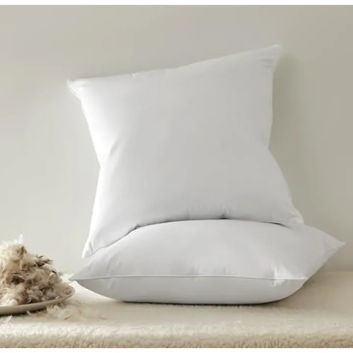18x18 Decorative Throw Pillow Inserts, Pack of 2, White, Down Feather Fill, 100% Cotton Cover IL75873