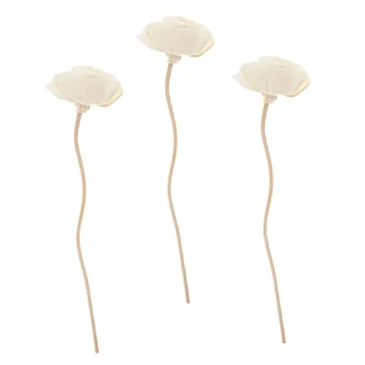 SOLUSTRE 3pcs Essential Oil Diffusers Diffuser Sticks Scent Sticks Home Decorative Aromatherapy
