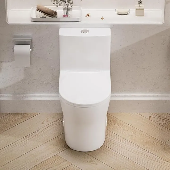 Compact One Piece Toilet for Small Bathrooms, 24‘’ Depth Space Saving Toilet with Water Efficiency Dual Flush, MAP 1000g, Soft Close Round Seat, Standard 12" Rough-in