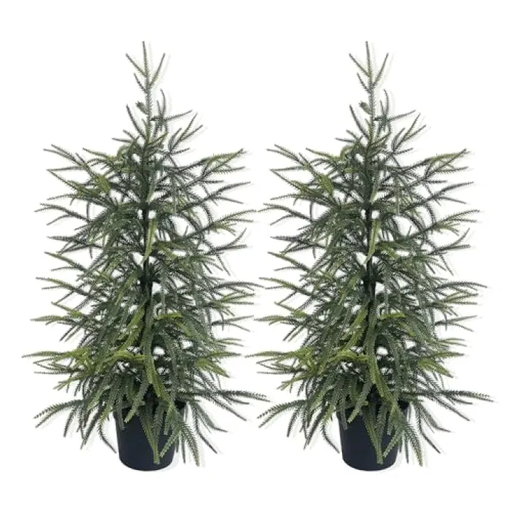 3FT Norfolk Pine Christmas Tree Real Touch Faux Tree with Black Pot, Realistic Indoor Holiday Decor fo Christmas Entryway, Living Room Office (2Pack)