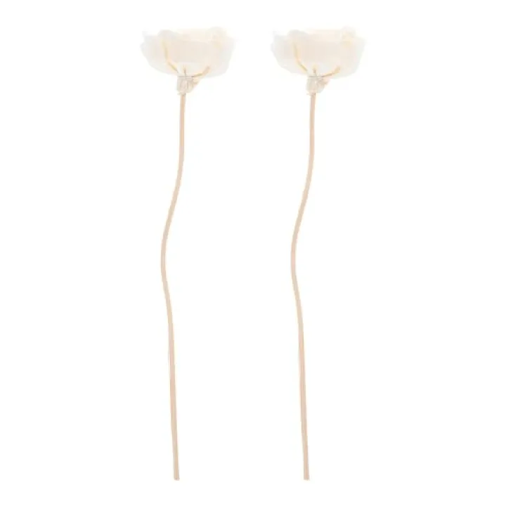 PRETYZOOM 2pcs Natural Flower Diffuser with Rattan Sticks Preserved Floral Reed Diffuser for Home and Office Fragrance Set