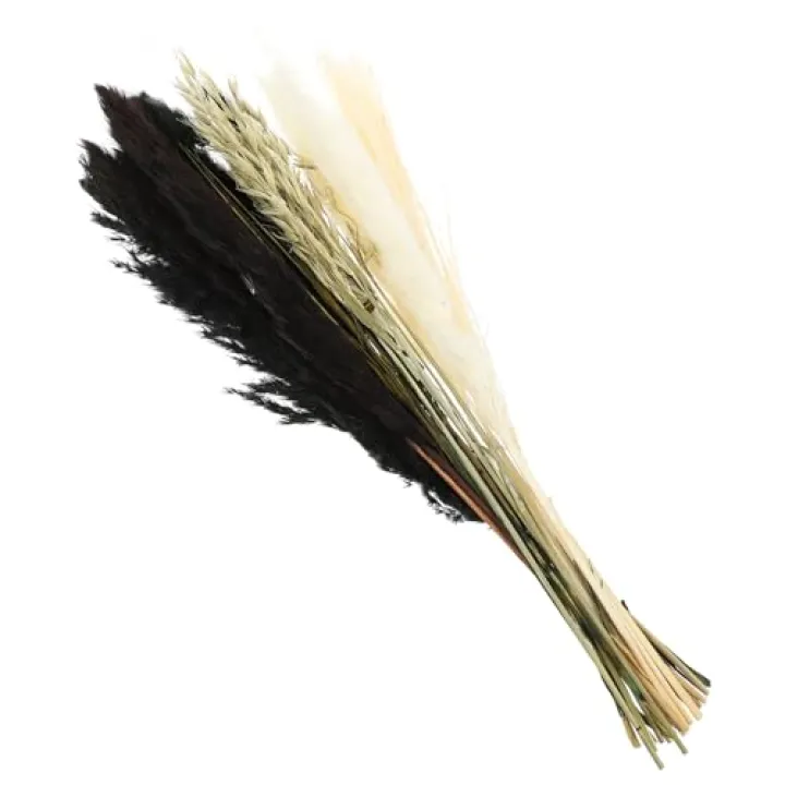 OSOLADY Dried Reed Bouquet Natural Preserved Reed Decor Black Pampas Grass Arrangement for Home Decoration Living Room Window Display