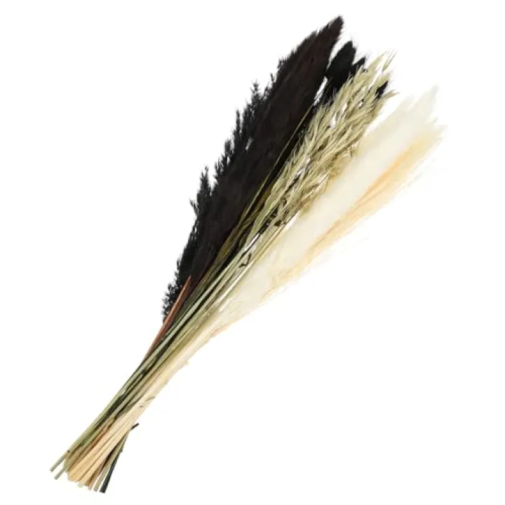 COHEALI Dried Pampas Grass Bouquet Dried Reed Home Decor Set Rustic Living Room Decoration Black Reed Bundle Natural Floral Display