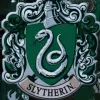 Slytherin Interior Designer