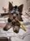 Kirill