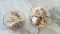 gordana.buncic7