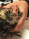 head